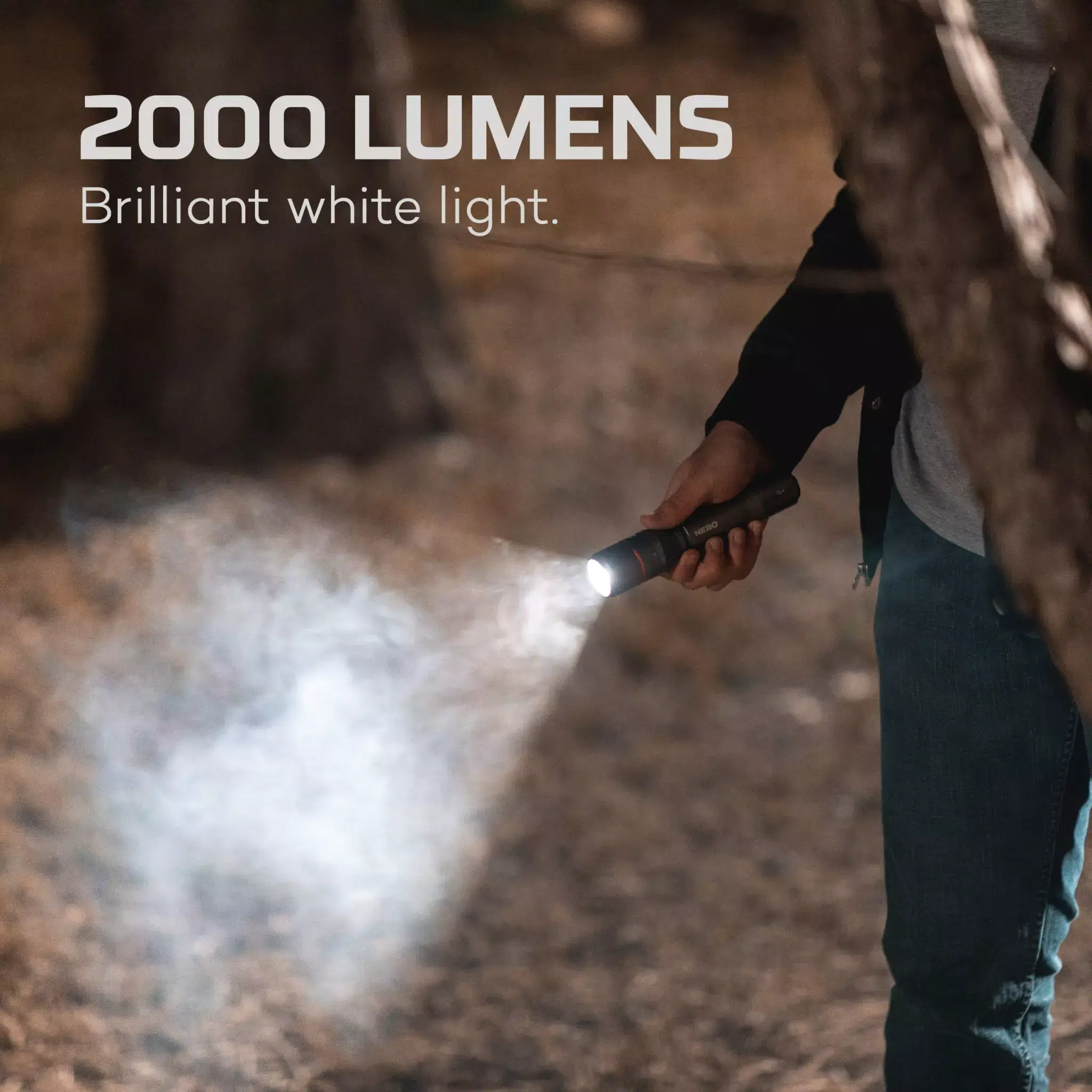 NEB-FLT-0020_G_Davinci-2000_Web_Infographic_Lumens-17-scaled