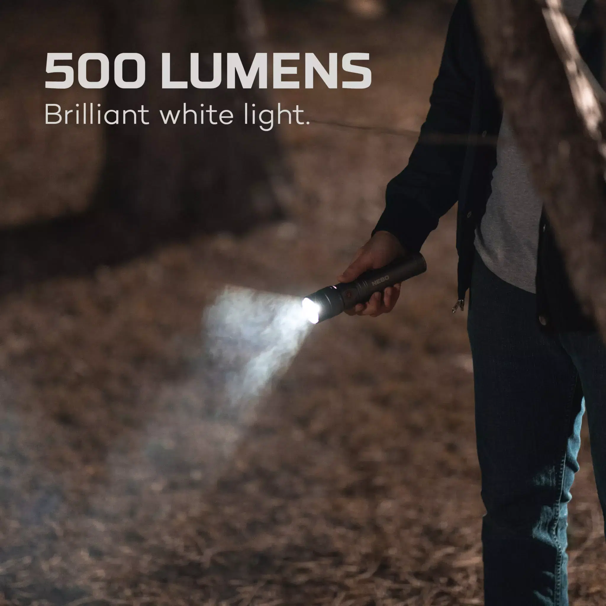 NEB-WLT-0025_G_FRANKLIN-Slide_Web_Infographic_Lumens-17-scaled